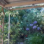 Busselton Home, Secret Garden, Hot Outdoor Bath And Pet Friendly