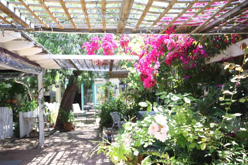 Home, Secret Garden, Hot Outdoor Bath And Pet Friendly *