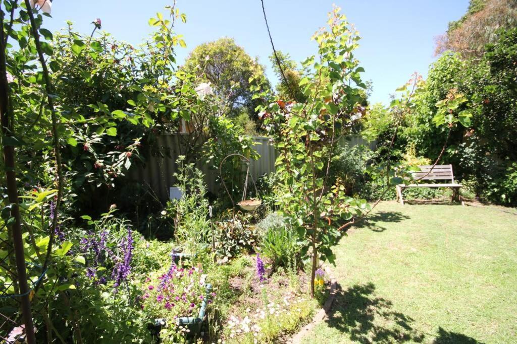 Home, Secret Garden, Hot Outdoor Bath And Pet Friendly Busselton