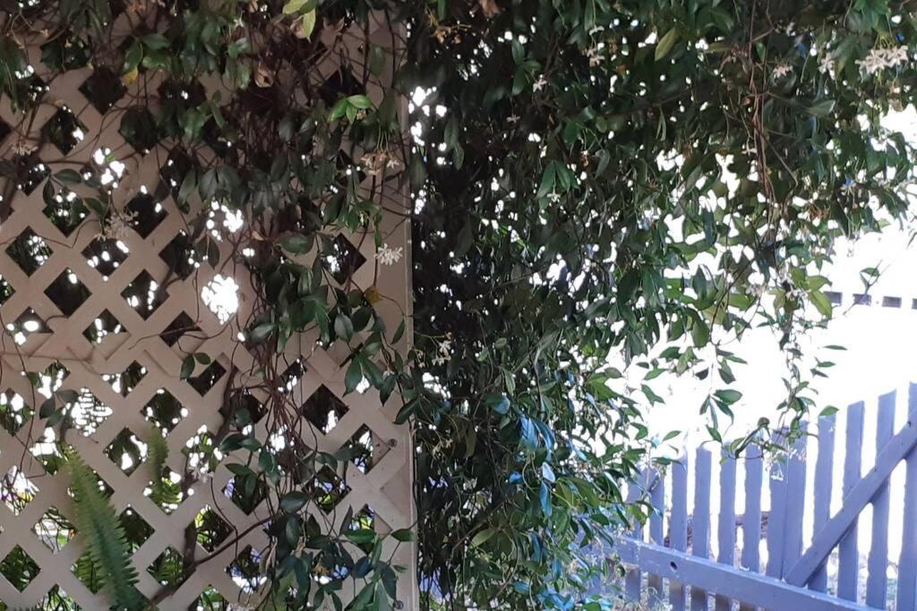 Home, Secret Garden, Hot Outdoor Bath And Pet Friendly Holiday home Busselton