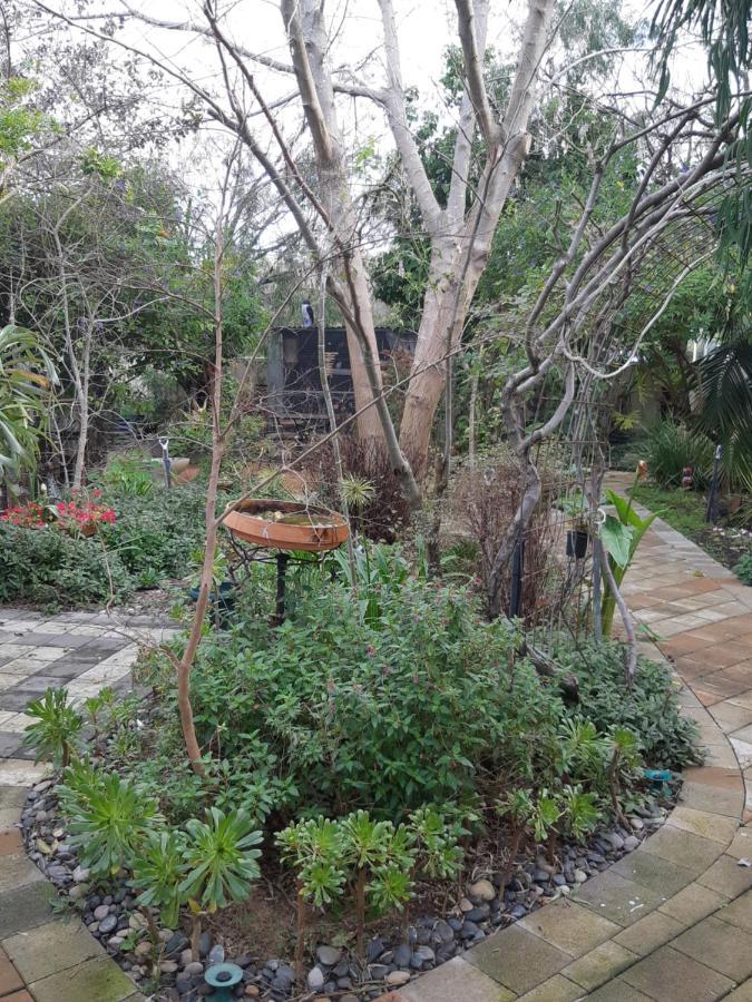 Home, Secret Garden, Hot Outdoor Bath And Pet Friendly