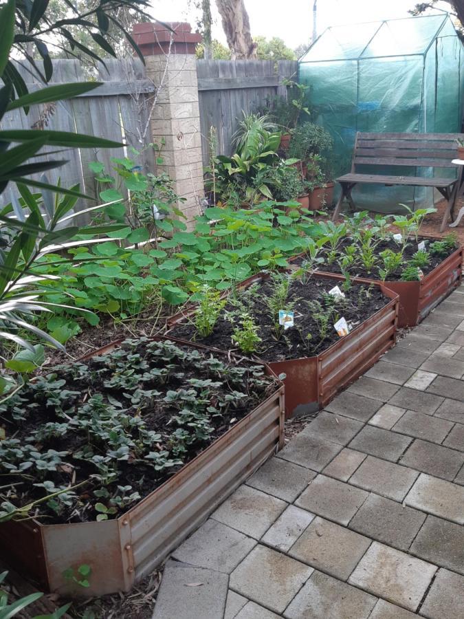 Home, Secret Garden, Hot Outdoor Bath And Pet Friendly Busselton