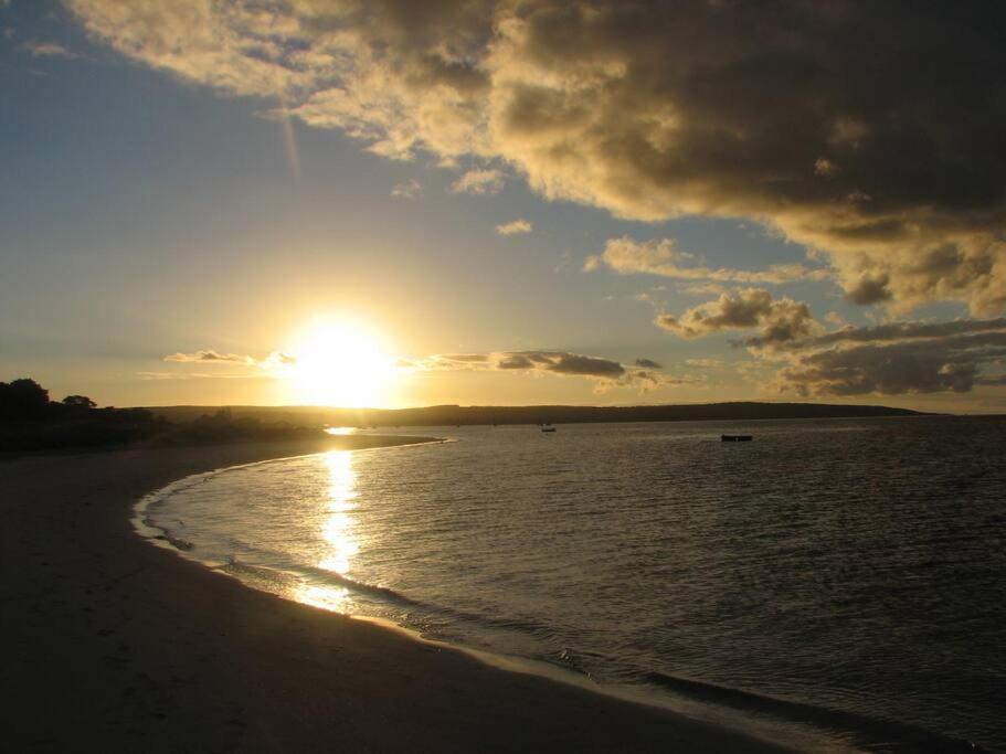 Duke - Pet Friendly Near Beach. *