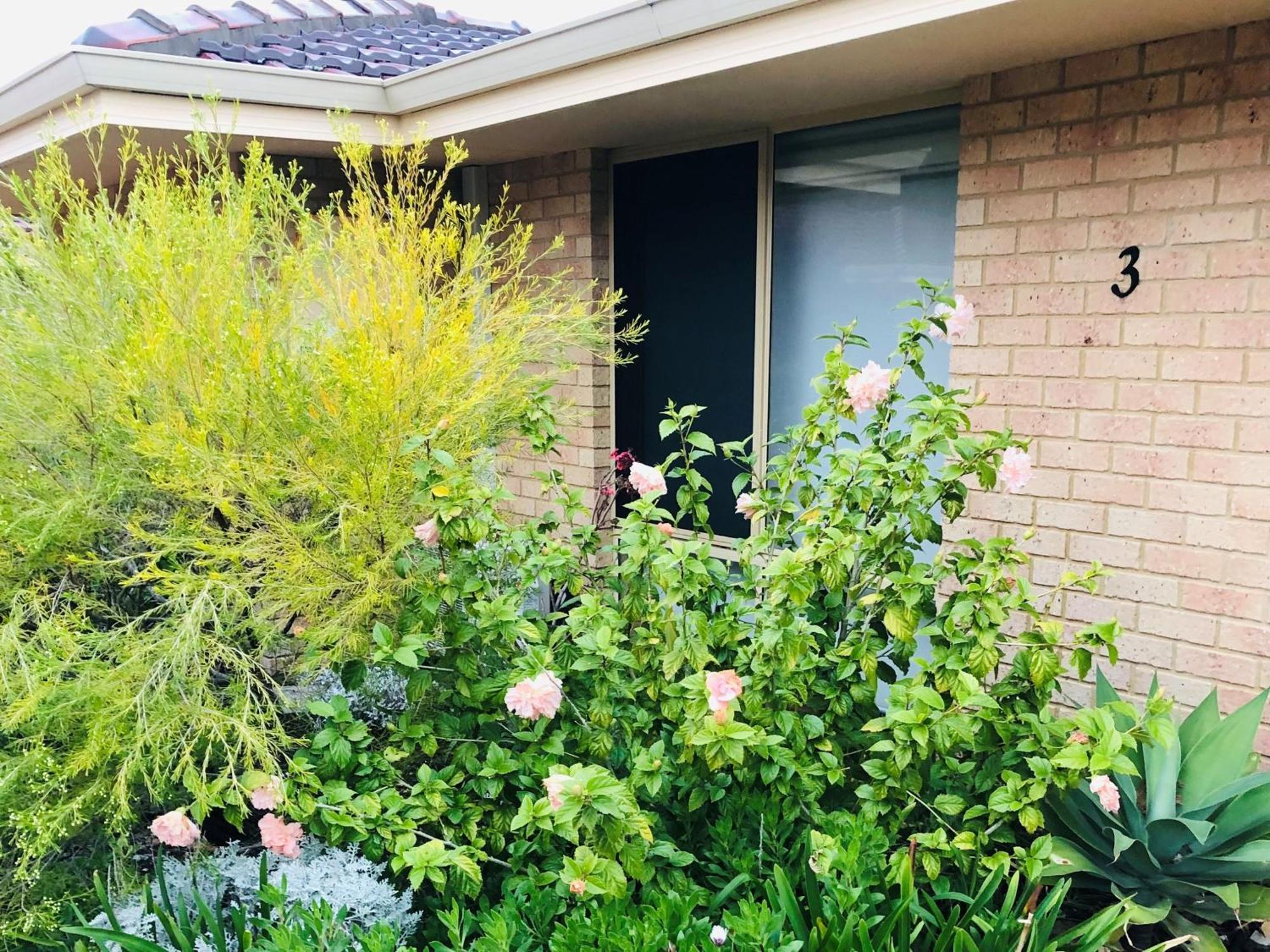 Holiday home Api Seaside Escape Busselton