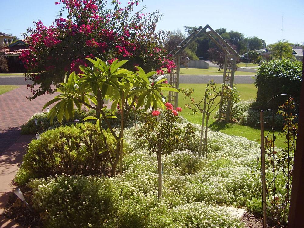 Bed & Breakfast Marina Busselton