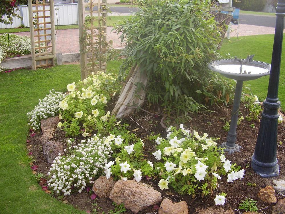 Bed & Breakfast Marina Busselton