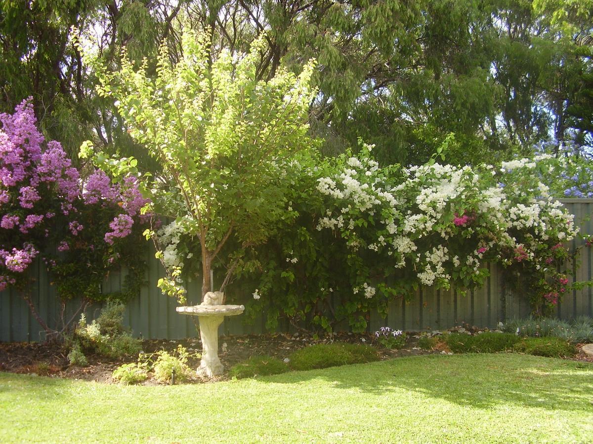 Marina Busselton