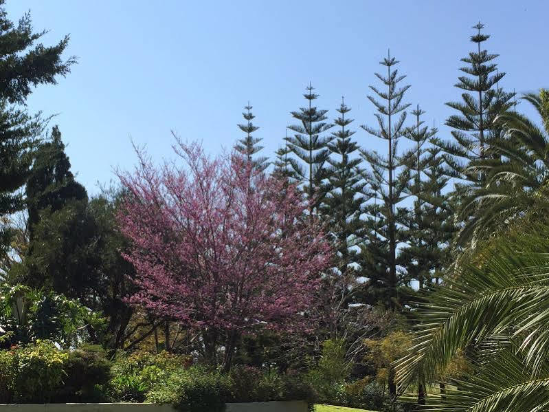 Martin Fields Retreat 3* Busselton