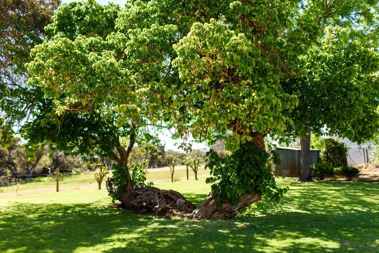 Fairlawn Estate Country house Busselton