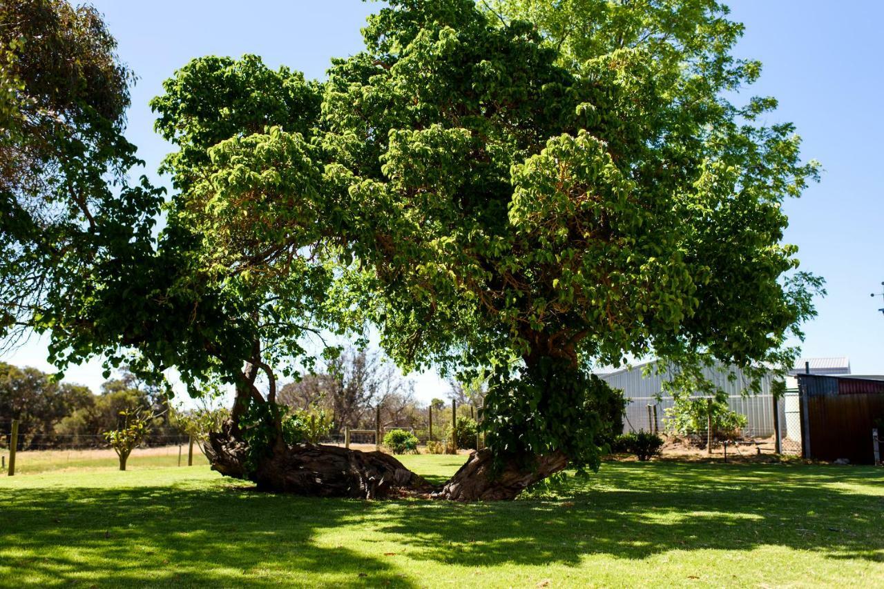 Fairlawn Estate * Busselton