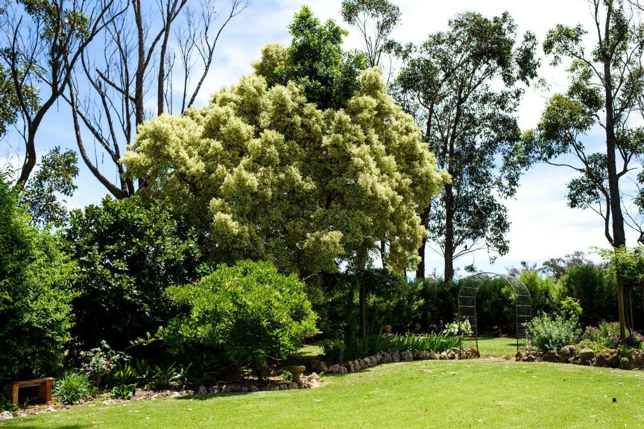 Country house Fairlawn Estate