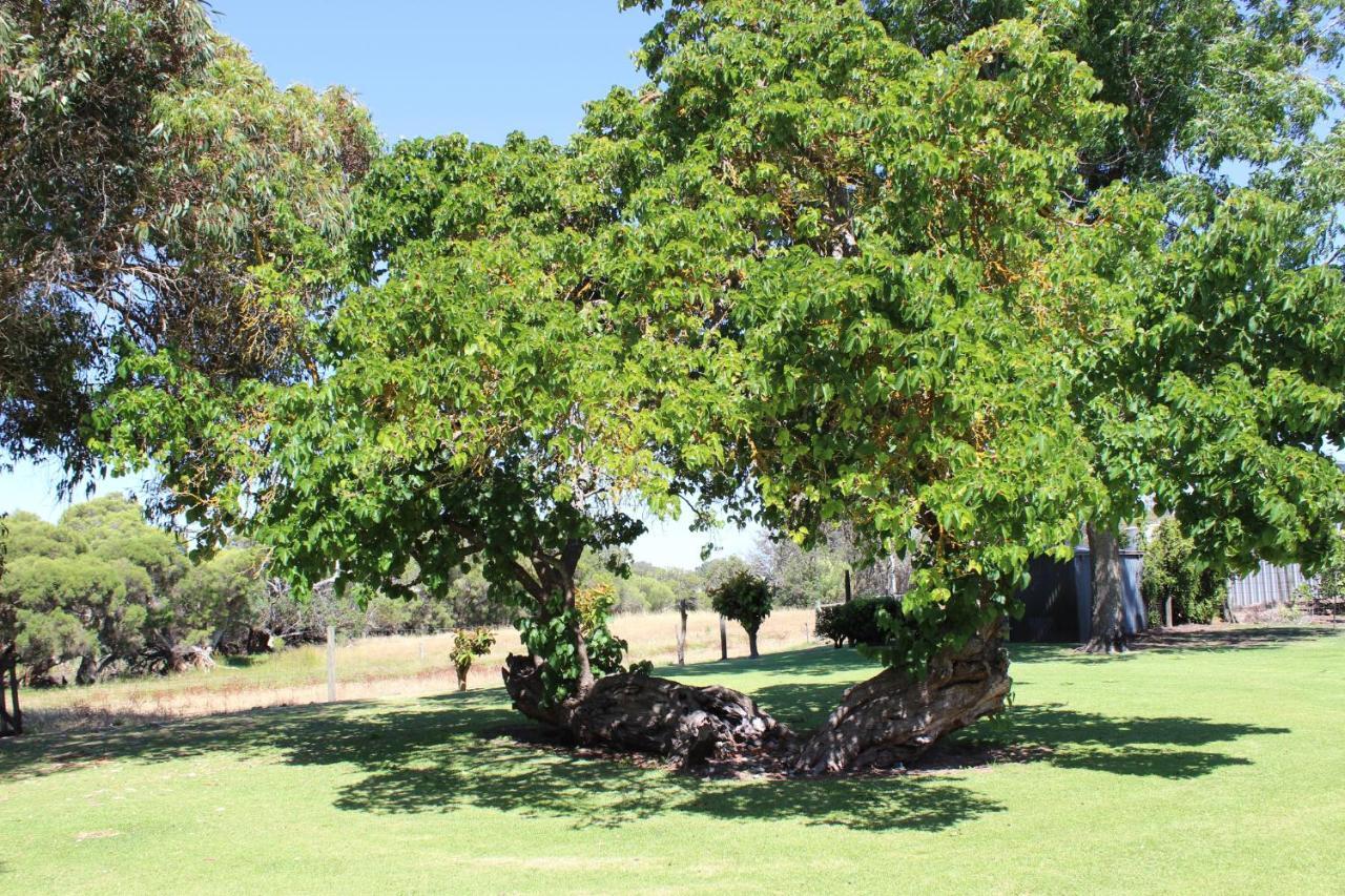 Fairlawn Estate Country house *