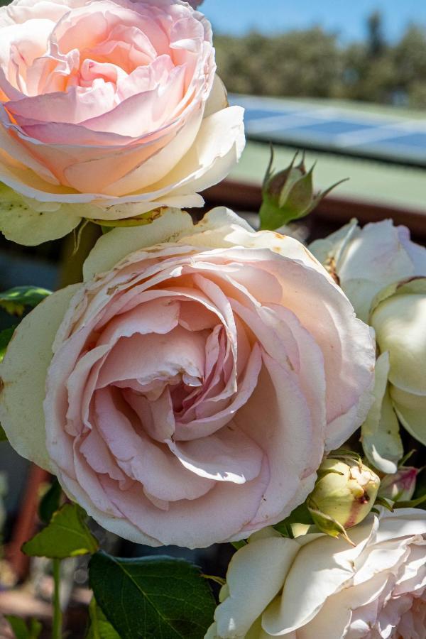 Bed & Breakfast Marina Busselton