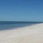 Abbey Beach Shack