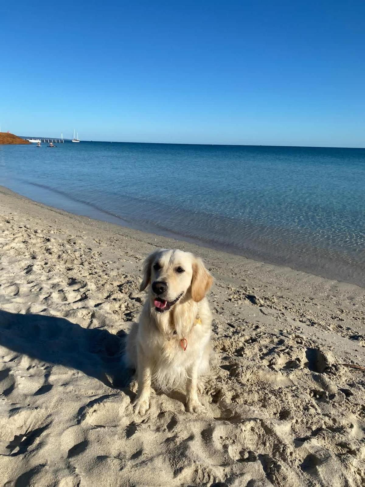 Beachfront Bliss, Waterfront Geographe Bay Holiday home