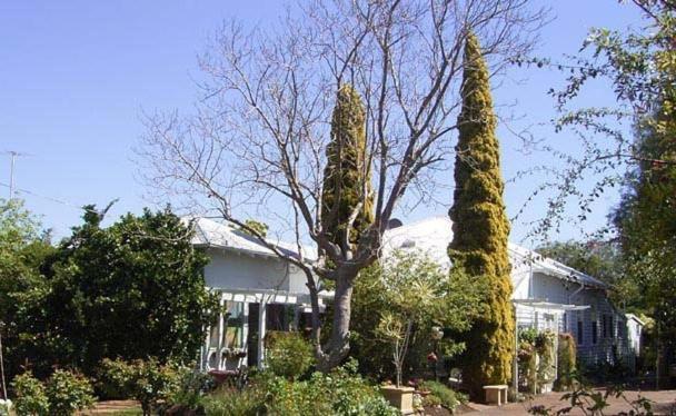 Jacaranda Guest house Busselton