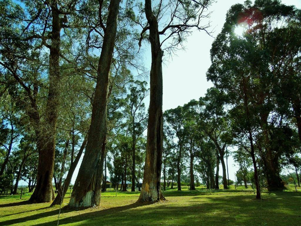 Bed & Breakfast Inn The Tuarts Guest Lodge Busselton Accommodation - Adults Only