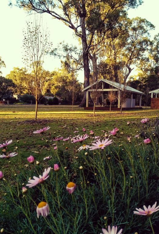 Inn The Tuarts Guest Lodge Busselton Accommodation - Adults Only 4* Busselton