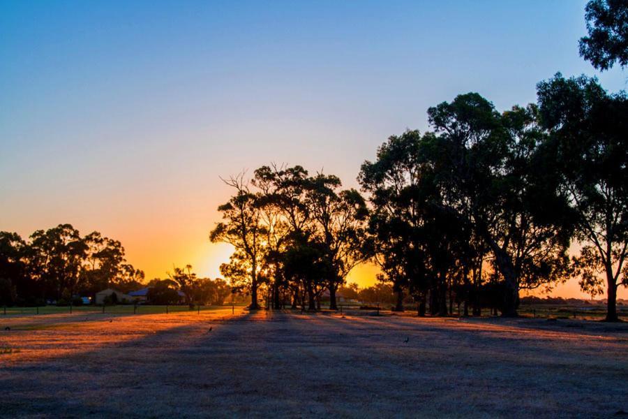 Inn The Tuarts Guest Lodge Busselton Accommodation - Adults Only Bed & Breakfast Busselton