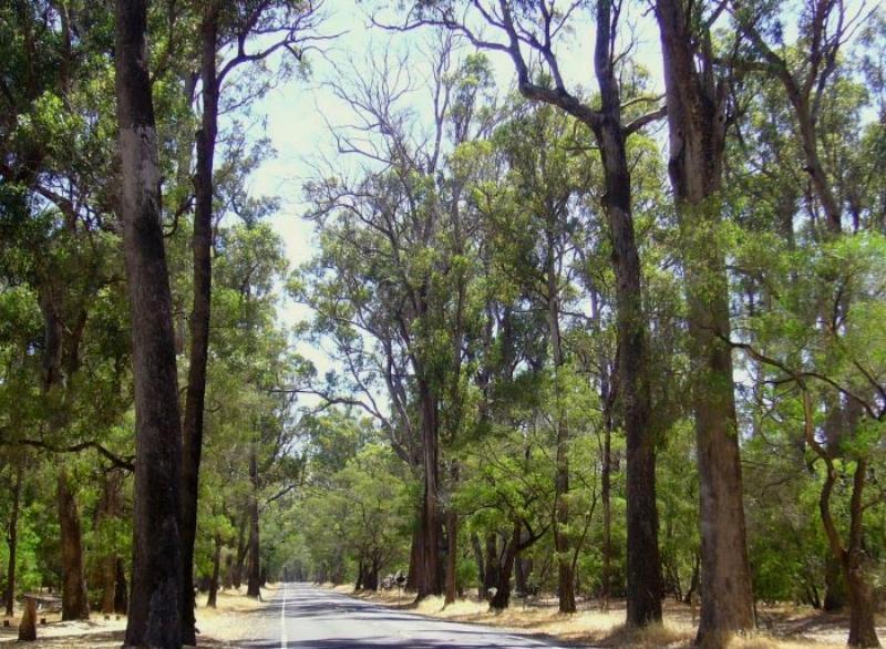 Inn The Tuarts Guest Lodge Busselton Accommodation - Adults Only Busselton