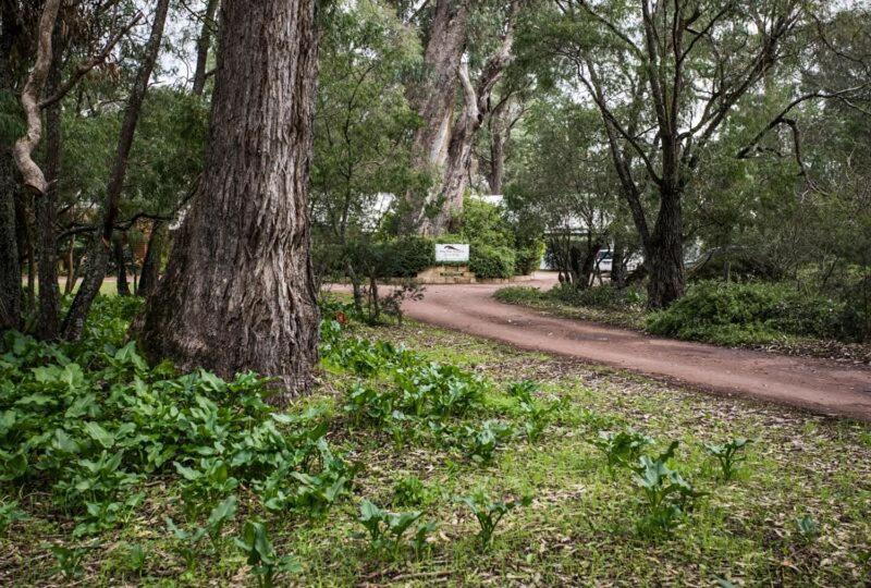 Inn The Tuarts Guest Lodge Busselton Accommodation - Adults Only Bed & Breakfast
